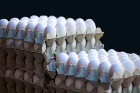 کشف بیش از ۱۰تن تخم مرغ فاسد در “علی آباد کتول”