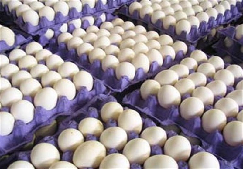 تولید ۸ درصد تخم مرغ مورد نیاز کشور در گلستان