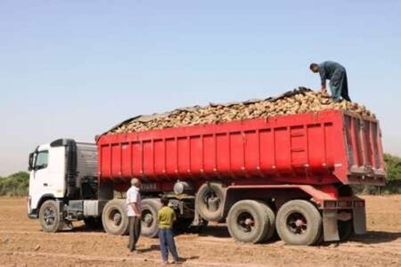 ۱۰ هزار کامیون، محصولات کشاورزی بهاره گلستان را جابه‌جا می‌کند