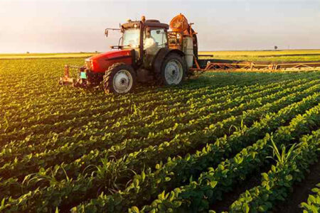 بخش عمده تولیدات کشاورزی صادراتی است