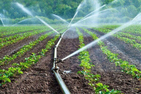 بیش از ۷۰ درصد اراضی کشاورزی استان به سیستم آبیاری نوین مجهز نشده اند