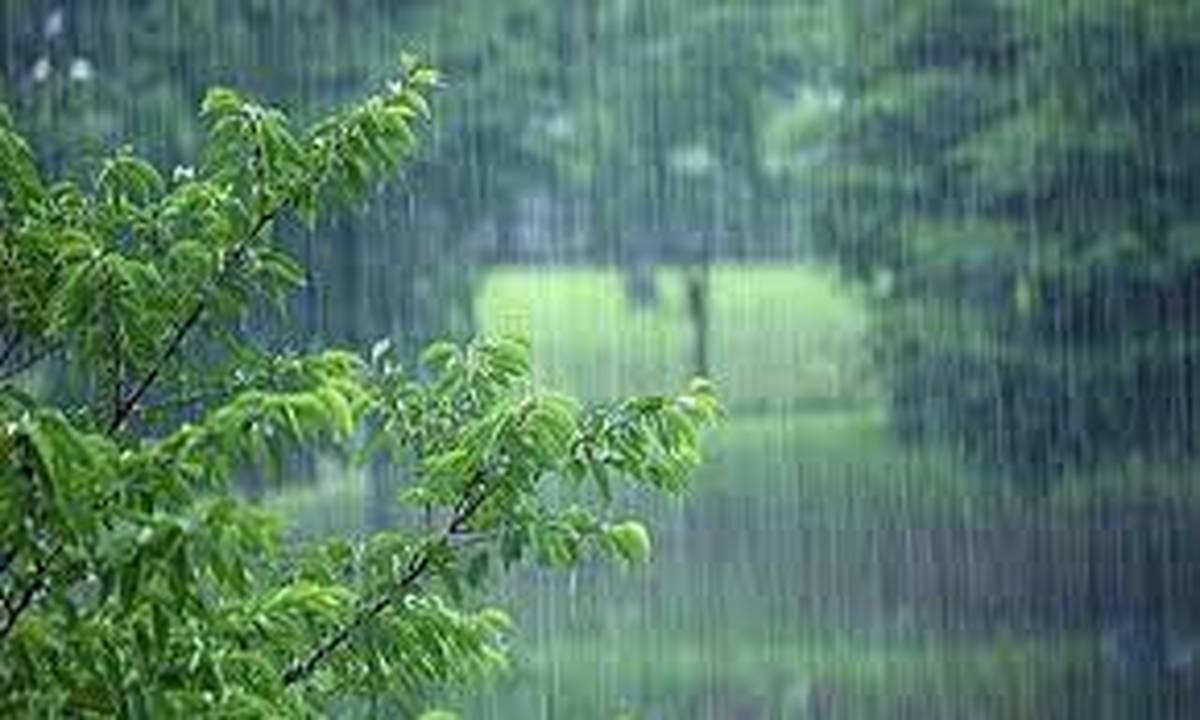 کاهش ۷۵ میلیمتری بارش های سالجاری نسبت به سال گذشته