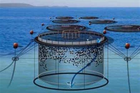 طرح پرورش ماهی در قفس یکی از ظرفیت‌های بکر دریای خزر است