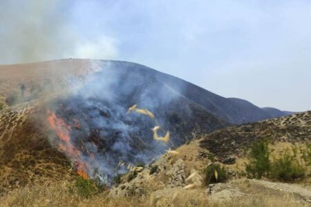 آتش سوزی در حریم زمین کشاورزی و منابع طبیعی آزادشهر مهار شد.