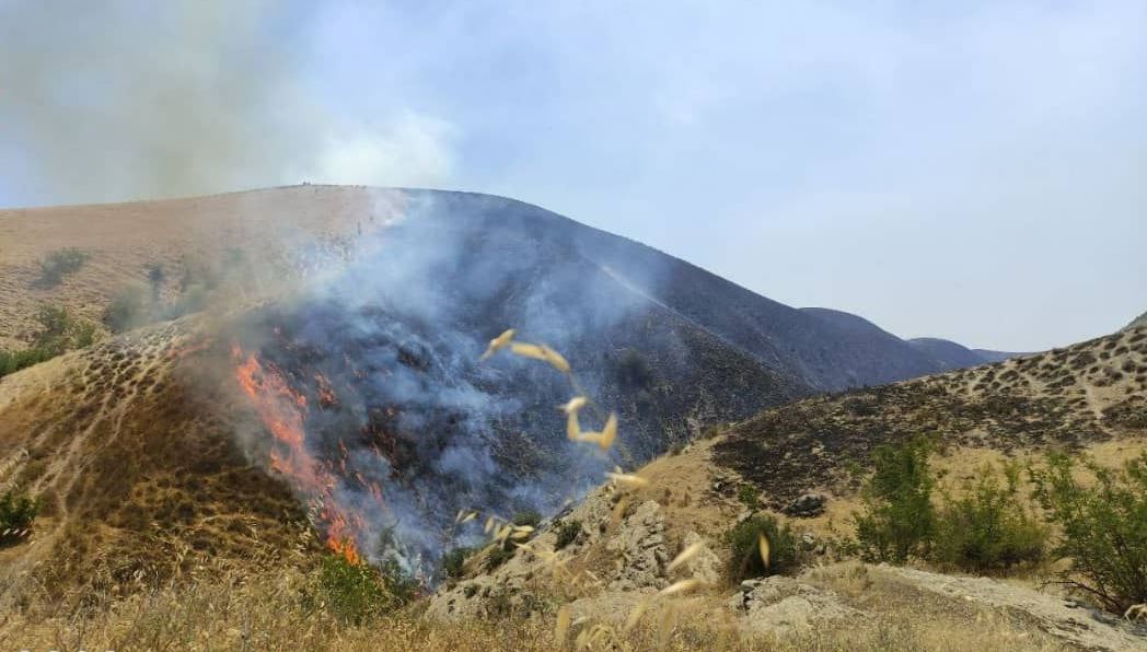 درخواست بالگرد برای خاموش کردن آتش در منطقه جنگلی شرق گلستان
