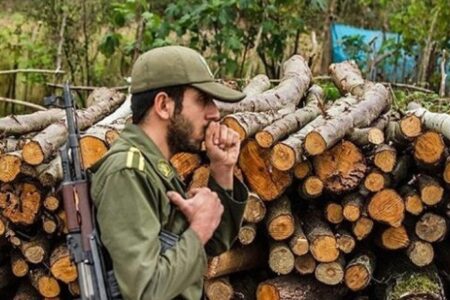 کشف ۵ تن چوب جنگلی قاچاق در رامیان