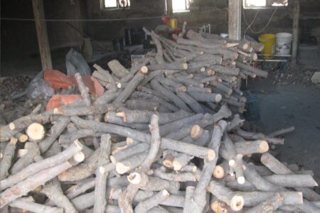 کشف و ضبط چوب آلات جنگلی در گرگان