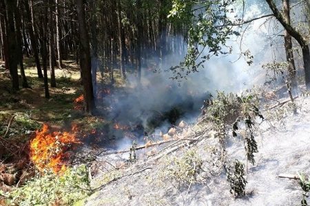 ۳ فقره آتش‌سوزی در جنگل‌های گلستان مهار شد
