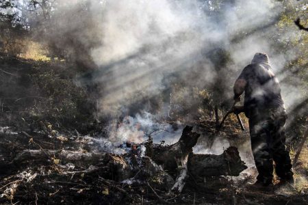 آتش به ۲ هکتار از عرصه‌های پارک ملی گلستان خسارت زد