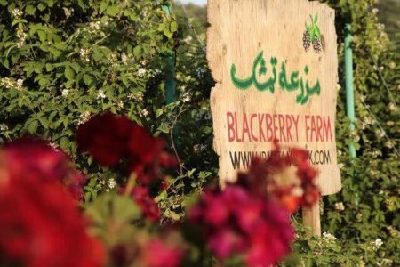 ۲۰ مزرعه گردشگری در استان مجوز فعالیت دارند