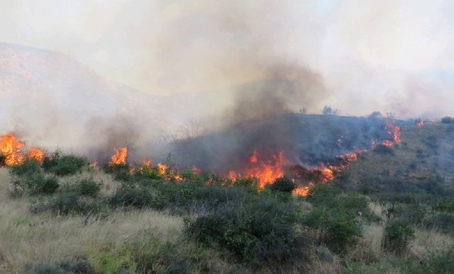 مهار اولیه آتش سوزی پارک ملی گلستان