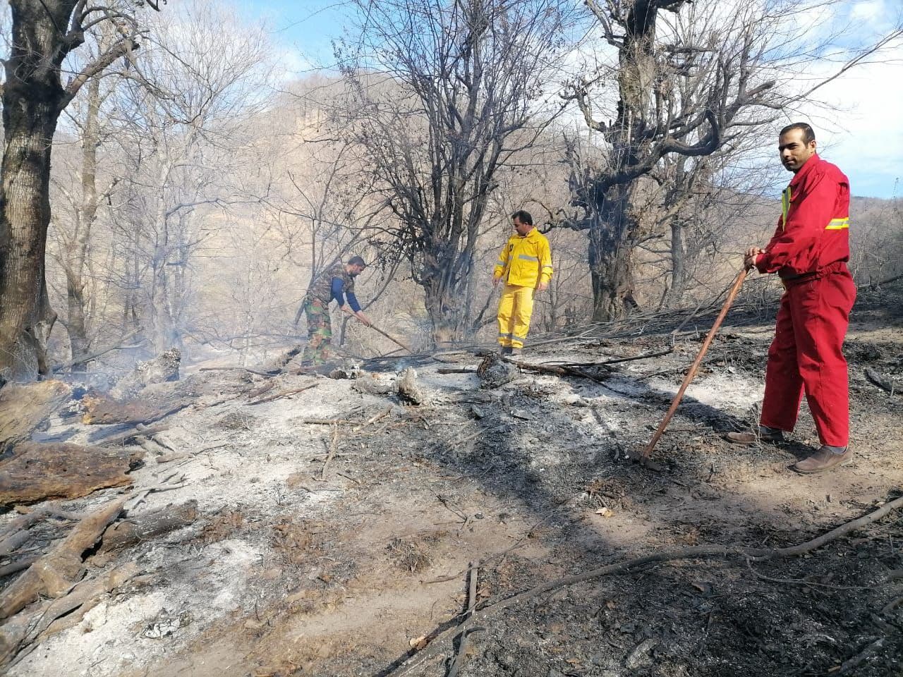 آتش سوزی جنگل های استان مهار شد
