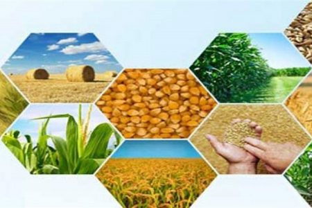 پایانه صادراتی محصولات کشاورزی زیرساخت تولید پایدار گلستان