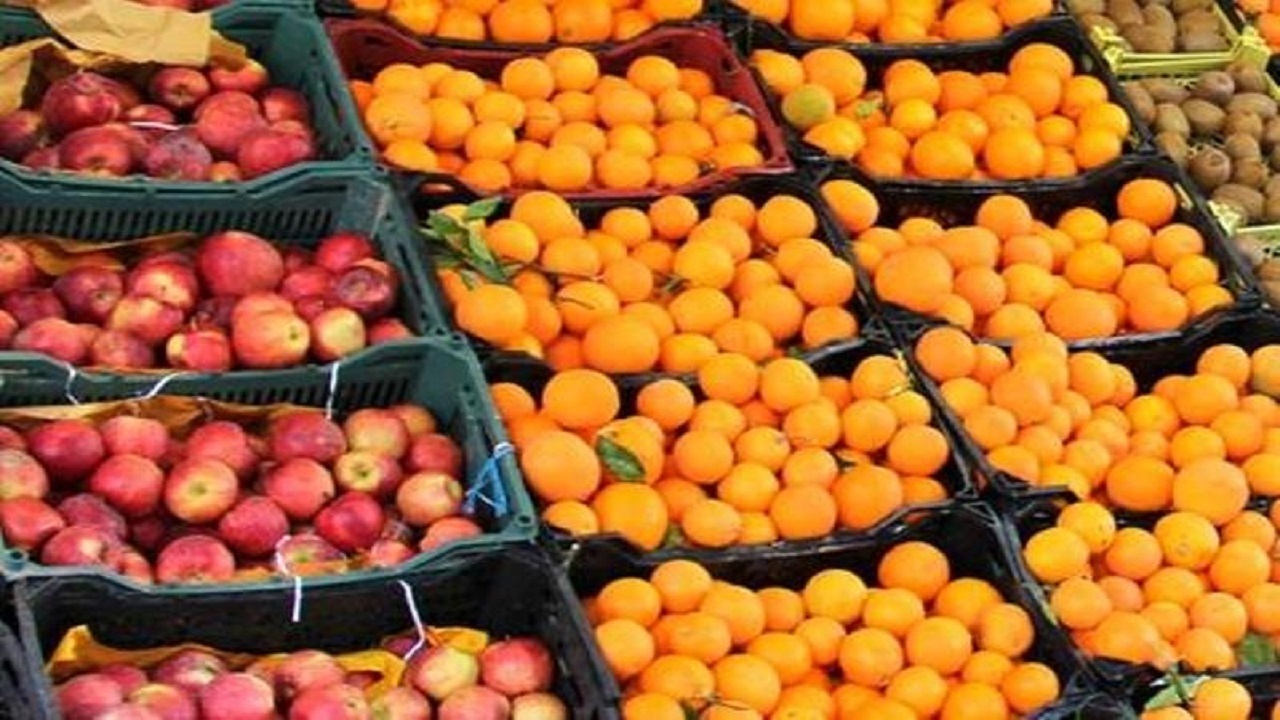 ۱۰۰ تن سیب و پرتقال با قیمت دولتی در گلستان توزیع می شود