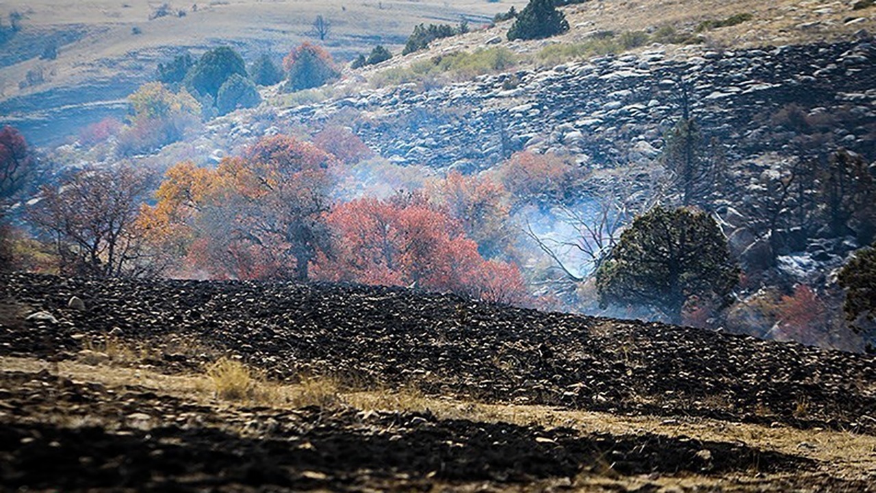 ۱۵هکتار از اراضی پارک ملی گلستان در آتش سوخت