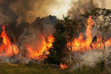 آتش به ۸.۵ هکتار از جنگل های گالیکش خسارت زد