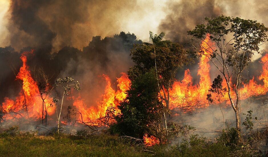آتش به‌جان پارک ملی گلستان افتاد