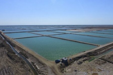 لایروبی کانال آبرسان دغدغه کمبود آب برای پرورش دهندگان میگو را کم کرد